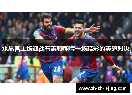 水晶宫主场迎战布莱顿期待一场精彩的英超对决